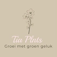 Surprise stekjesbox  image 0